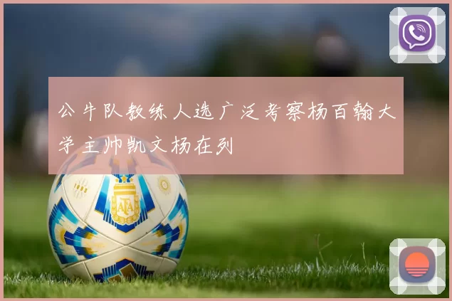 公牛队教练人选广泛考察杨百翰大学主帅凯文杨在列